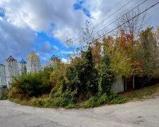 У Києві суд повертає місту 0,7 га землі за 32 млн: ділянка пустувала майже 20 років