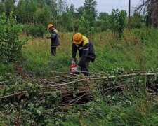Через негоду на Київщині понад 100 населених пунктів залишилися без електропостачання