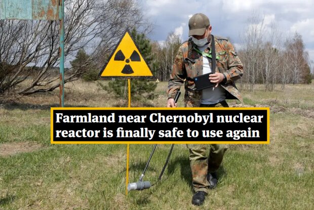 Придатні для фермерства — науковці підтвердили, що землі в околицях Чорнобиля знову можна використовувати