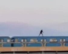 Двоє екстремалів залізли на вагони київського метро (відео)