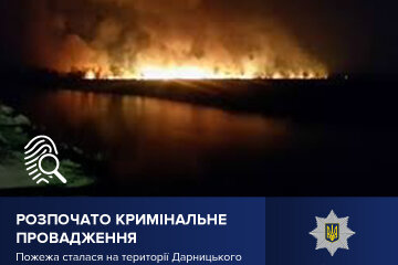 Поліція Києва розпочала кримінальне провадження за фактом пожежі на території ландшафтного заказника «Осокорківські луки»