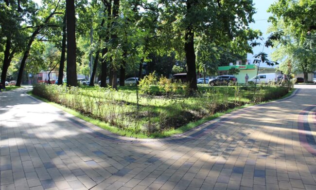 У Солом’янському районі урочисто відкрили сквер “Дубовий гай”