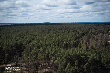 Рятувальники використали безпілотну техніку з тепловізорами, аби перевірити київські ліси на наявність пожеж