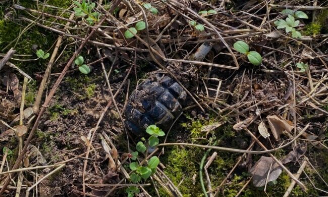 Під час весняної толоки киянин знайшов гранату на Оболоні