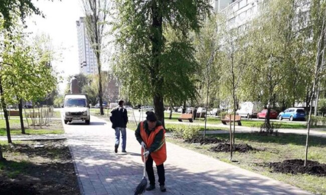 Бульвар Академіка Вернадського в Києві прикрашатимуть платани