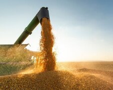 США не зніматимуть санкції з РФ в обмін на зерно