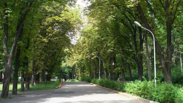 У Києві перейменували парк імені Пушкіна - тепер він названий на честь українського письменника