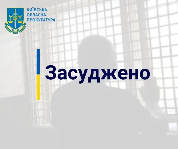 Прокуратура Київщини домоглась довічного позбавлення волі для чоловіка, який жорстоко вбив свою матір