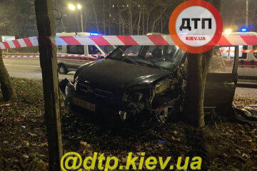 У Києві на вулиці Теліги сталася смертельна ДТП