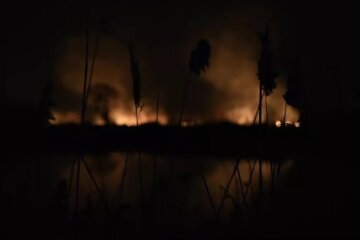 Пожежа в екопарку Осокорки — активісти та політико-громадські діячі стверджують, що це підпал