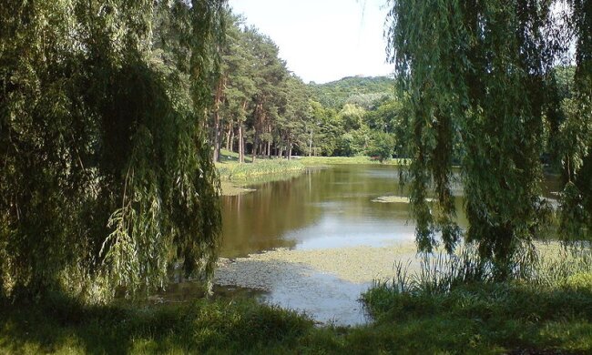 Голосіївський парк розширять майже на 2 гектари