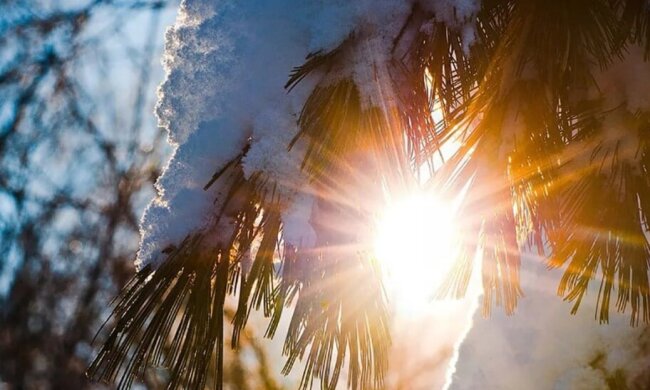 У Києві було тепло, як у квітні – це вже четвертий рекорд із початку 2022 року