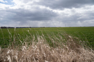 В Умані пролунали вибухи