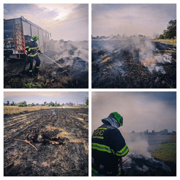 На Київщині під час випалювання сухостою загинула жінка — ДСНС