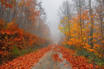 В Україні вдарять заморозки і налетить похолодання