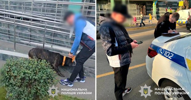У Києві власник жорстоко побив свого собаку посеред вулиці