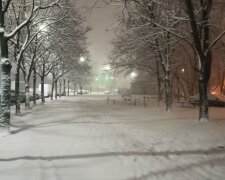У Києві почався сильний снігопад