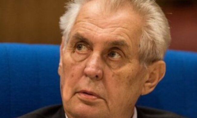 Президент Чехії обговорив з делегацією русинів “автономію Закарпаття”