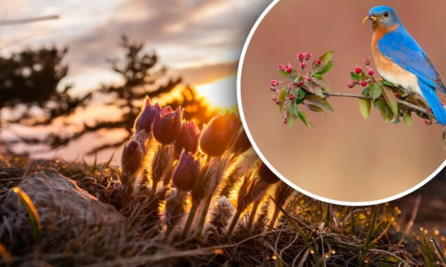 На вихідних Україну накриє аномальна погода: синоптики дали різкий прогноз