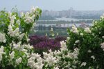 В ботанічному саду Києва вперше пройде екофестиваль