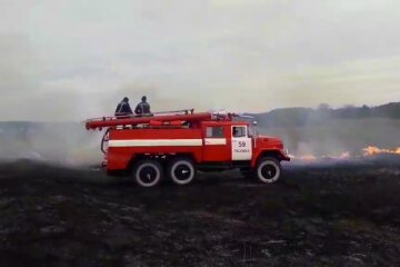 Під Києвом горить сухостій