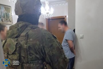 У Києві затримано власника агрохолдингу, який постачав харчі для росіян на окуповану Херсонщину - СБУ