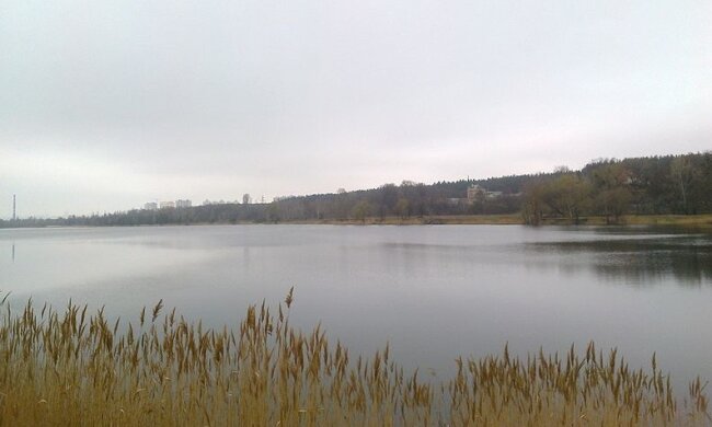 Київське озеро Міністерка оголосили ландшафтним заказником
