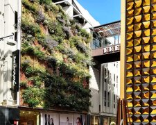Шведи безкоштовно допоможуть створити "живі стіни" на будинках столиці