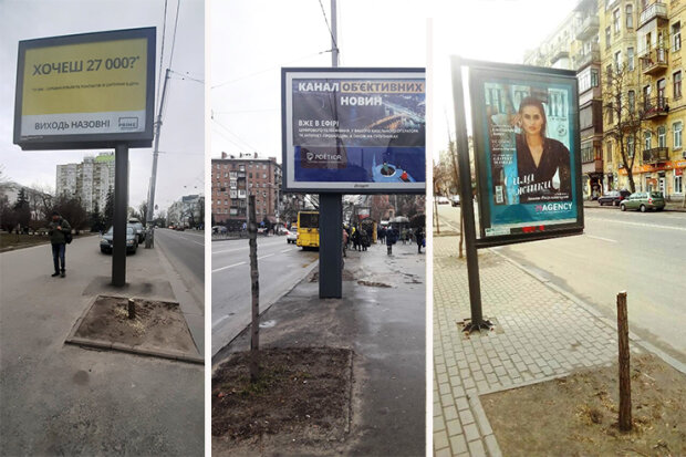 Дерева не вирубали! Рекламісти звинуватили Київзелендбуд у наклепі