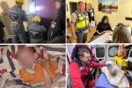 У Києві 17-річна матір залишила немовля в квартирі на тиждень без їжі та води. Дитина в комі