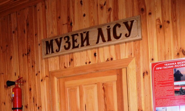 У найстарішому лісництві Києва облаштовують Музей лісу – лісівники знайшли старі документи