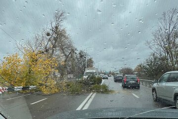 Через жахливі наслідки негоди, киян попередили про можливі відключення світла