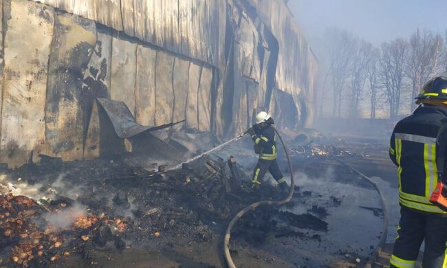 Масштабна пожежа під Києвом дим затягнув Броварську трасу