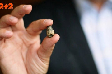 Революційна знахідка археологів: на території України відкопали рештки динозаврів