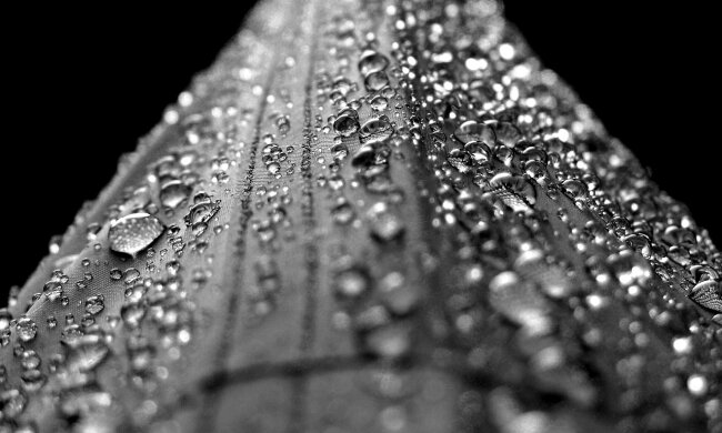 На Київ насувається гроза: ДСНС попередила про погіршення погоди