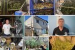 На Оболоні викрили "пекарів", які продавали "печиво з наркотиками" й заробляли мільйони