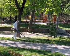 В київських парках та зелених зонах провели протикліщову обробку
