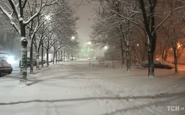 У Києві почався сильний снігопад