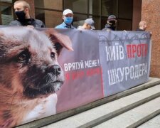 У Києві пройшов мітинг проти виправдання догхантера Святогора (відео)