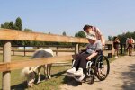 У Києві розширили послугу тимчасового відпочинку для батьків дітей з інвалідністю