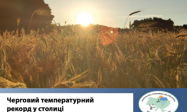 У Києві зафіксували черговий температурний рекорд — ЦГО ім. Б. Срезневського