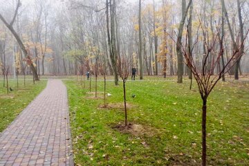 Сирецькому парку подарували алею сакур