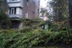 У Києві внаслідок негоди постраждала людина, що отримала черепно-мозкову травму