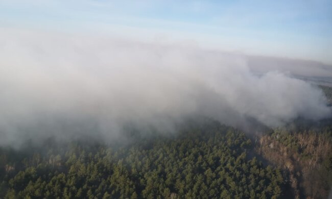 Пожежа в Чорнобилі знищила околишні села та підібралась до АЕС (відео)