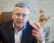 Гриценко може піти з керівництва своєї партії — ЗМІ