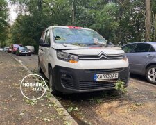Гілки пробили лобове скло та двері: у Києві блискавка повалила дерево на автомобіль