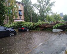 Шквал в Києві повалив кілька великих дерев і підтопив вулиці (фото, відео)