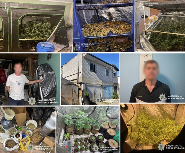 На Оболоні викрили "пекарів", які продавали "печиво з наркотиками" й заробляли мільйони