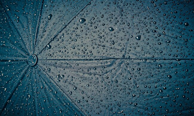 Найближчі вихідні у столиці будуть дощовими