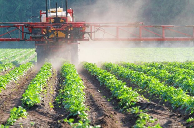 В Україні варто посилити контроль за використанням пестицидів